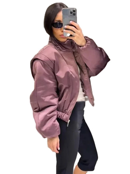 🍒Langmou-bomberbaadjie vir vroue, met ritssluiting en opstaande kraag, buiteklere kort gemaklike baadjie soliede sjiek vroulike satynklere mode Mauve Is In